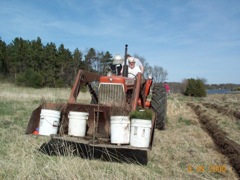 Planting Crew